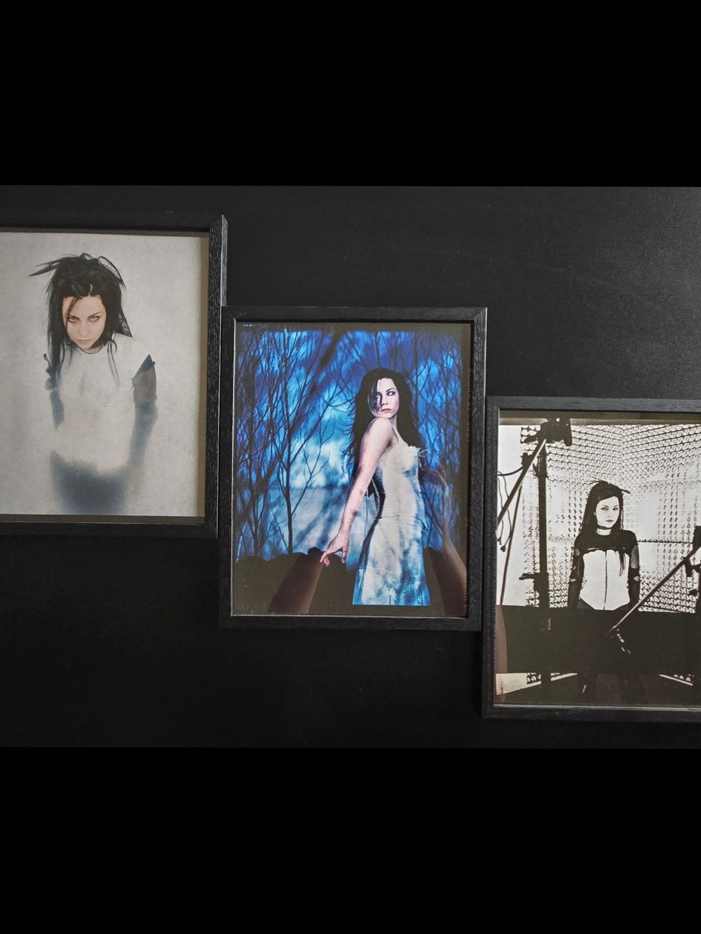 Evanescence Fallen 20th Anniversary Box set | Exclusive Prints ONLY | With Frame